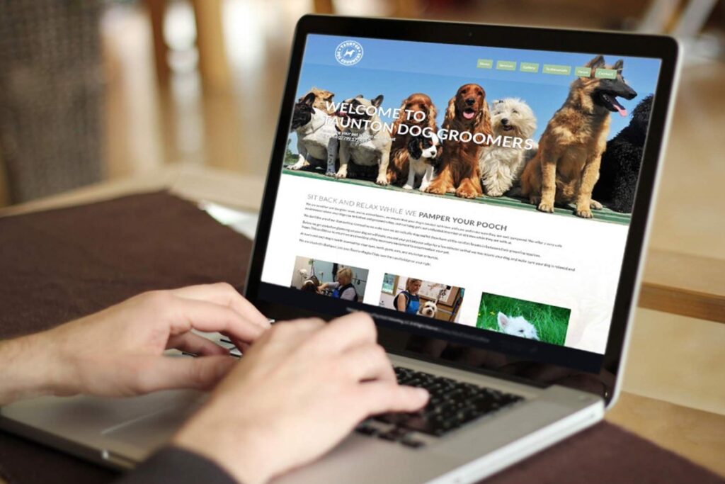 Welche Domain-Strategien sind für den Erfolg von Online-Shops notwendig? 